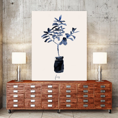 Ficus Blues