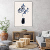 Ficus Blues