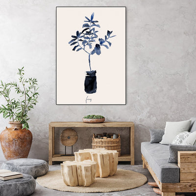 Ficus Blues