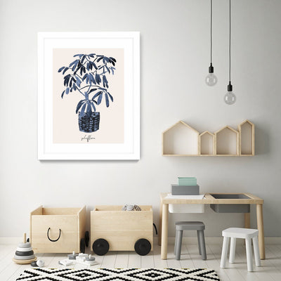 Schefflera Blues