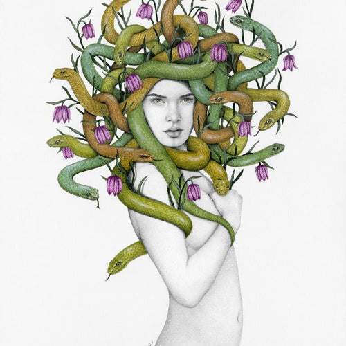 Medusa
