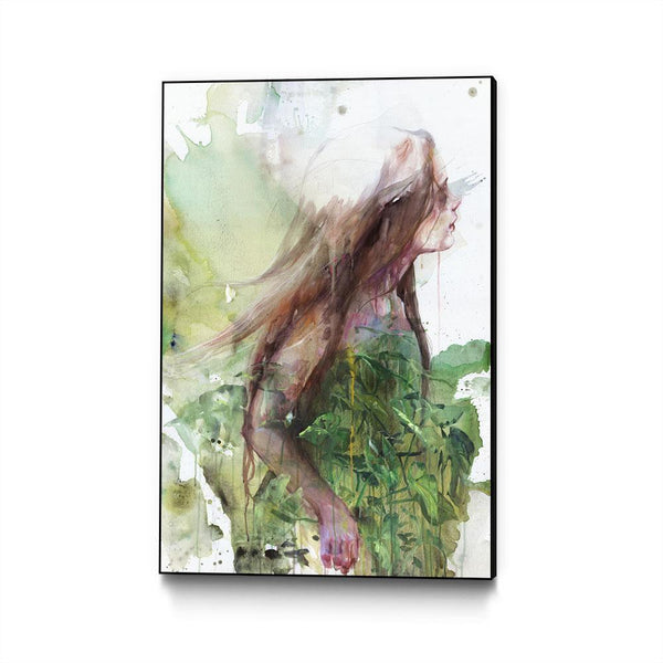 Growing Toward the Sun