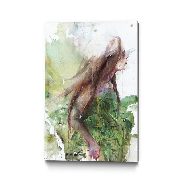 Growing Toward the Sun