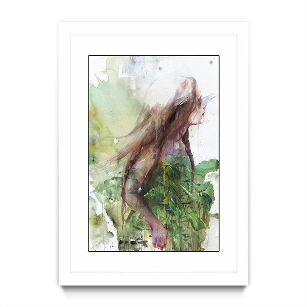 Growing Toward the Sun