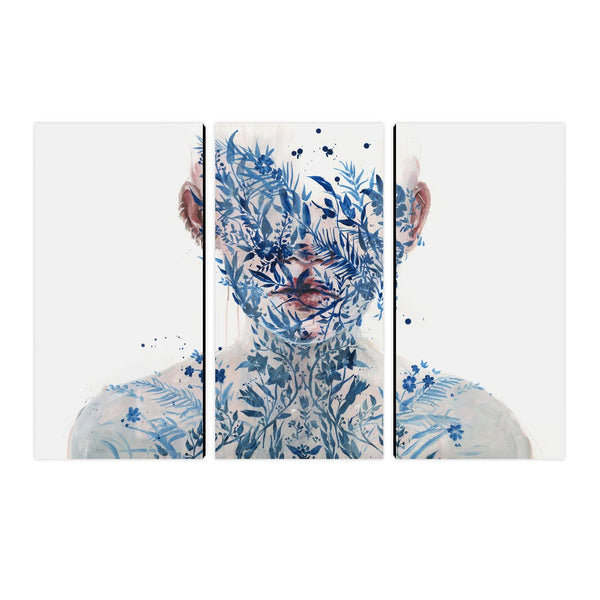 The Frailest Nature II