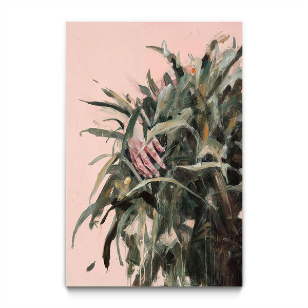 Comprehending its Shape