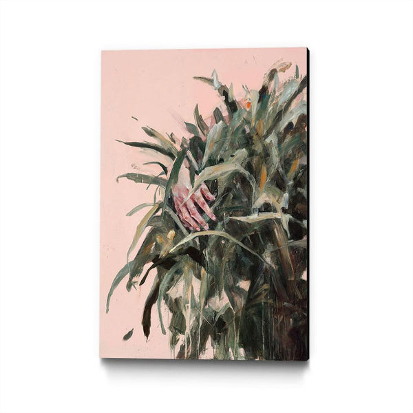 Comprehending its Shape