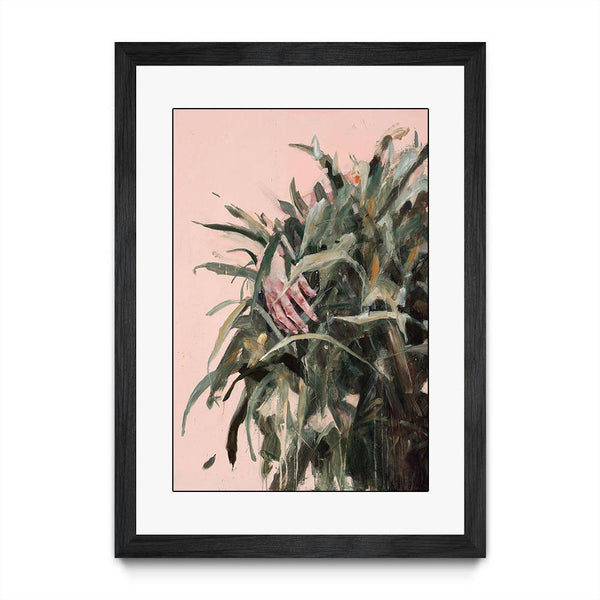 Comprehending its Shape