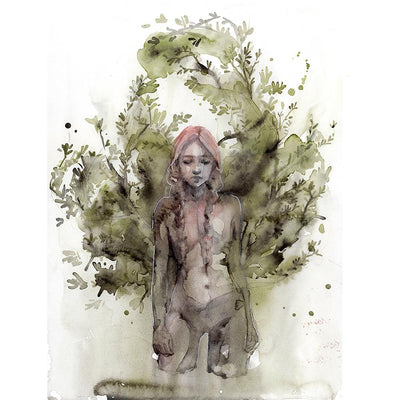Rising Nymph