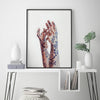 The Vase