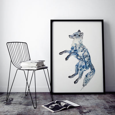 Night Fox