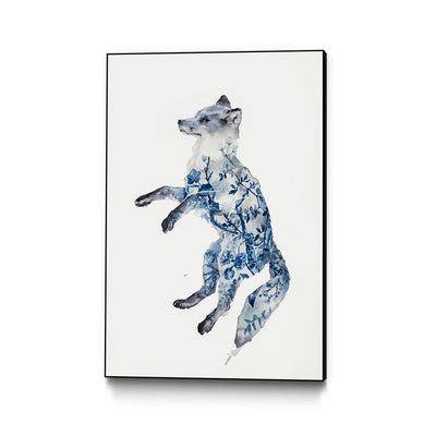 Night Fox