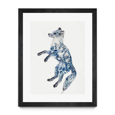 Night Fox