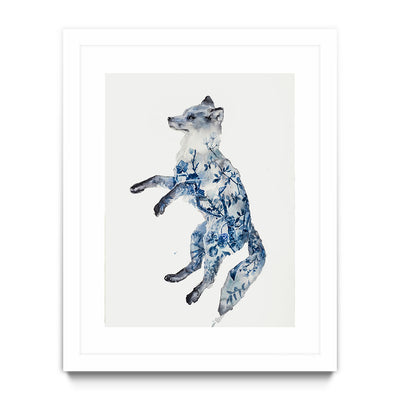 Night Fox