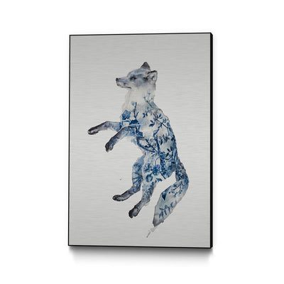 Night Fox