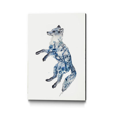 Night Fox