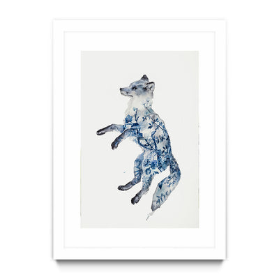 Night Fox