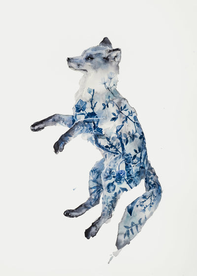 Night Fox