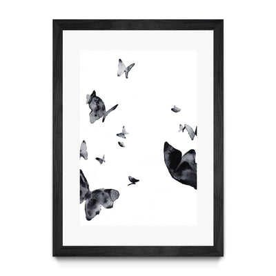 Shadow Flying Butterflies