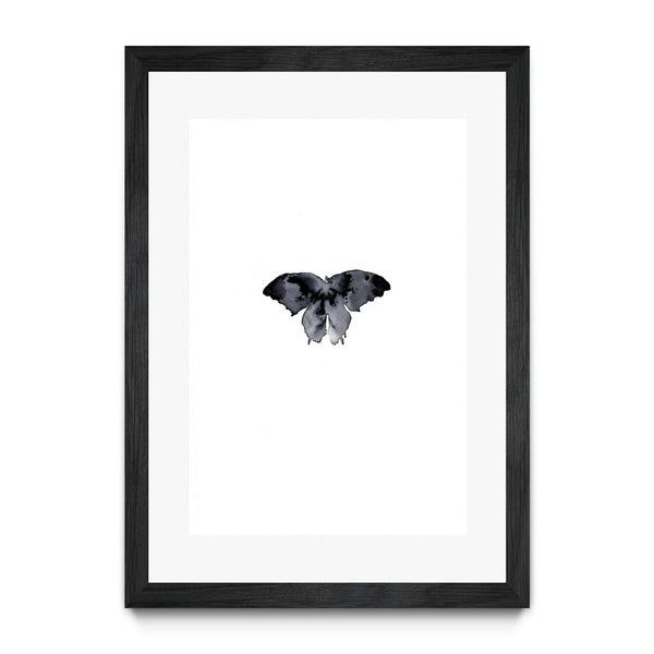 Shadow Butterfly