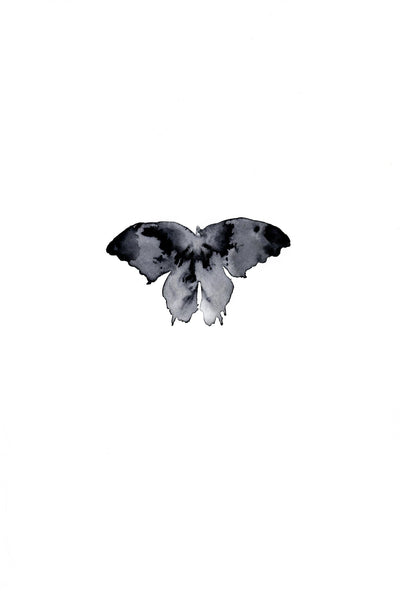 Shadow Butterfly
