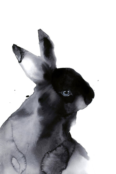 Shadow Rabbit