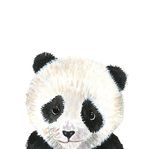 Baby Panda