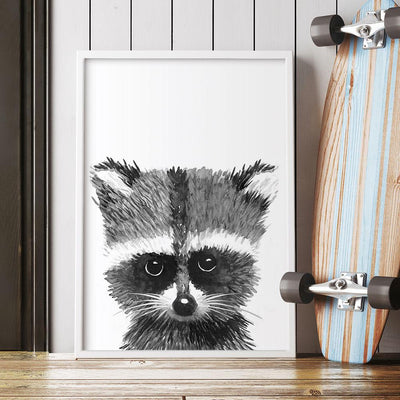 Baby Racoon