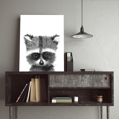 Baby Racoon