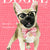 Dogue Frenchie Pink