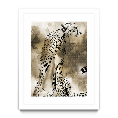 Cheetah