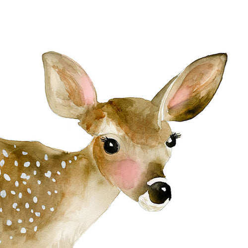 Fawn
