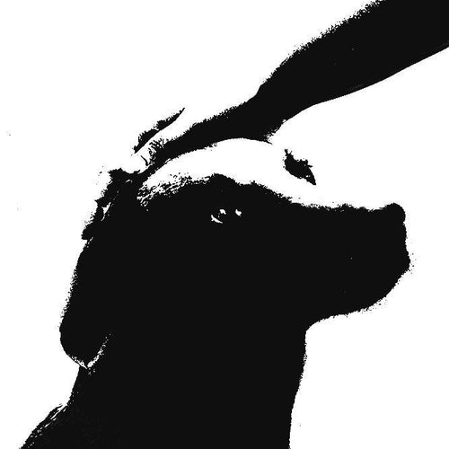 Hold On We're Going Home