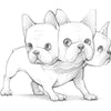 Cerberus