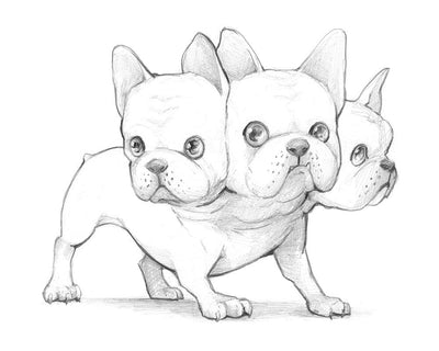 Cerberus