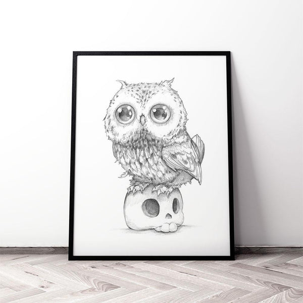 Owl
