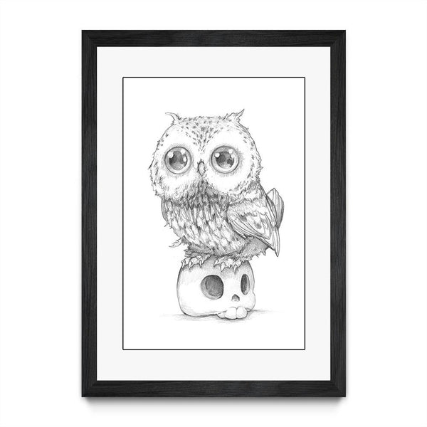 Owl