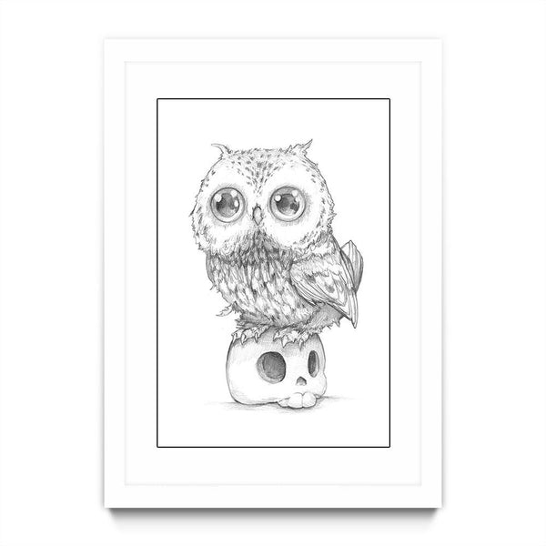 Owl