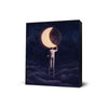 Carpe Noctem