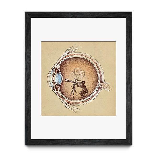 Extraordinary Observer