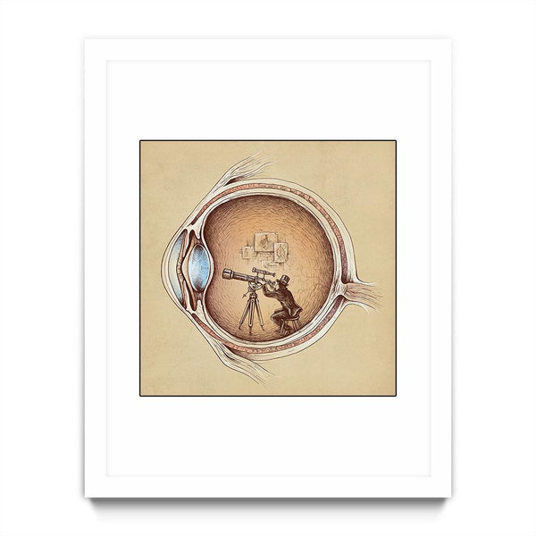 Extraordinary Observer