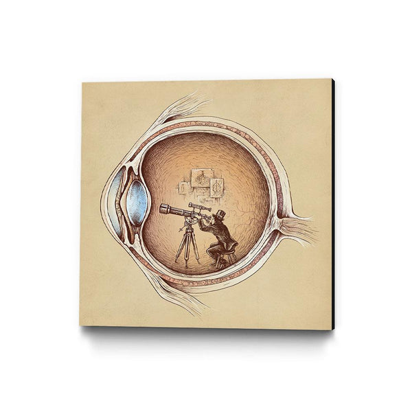 Extraordinary Observer