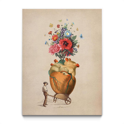 A Gift For You
