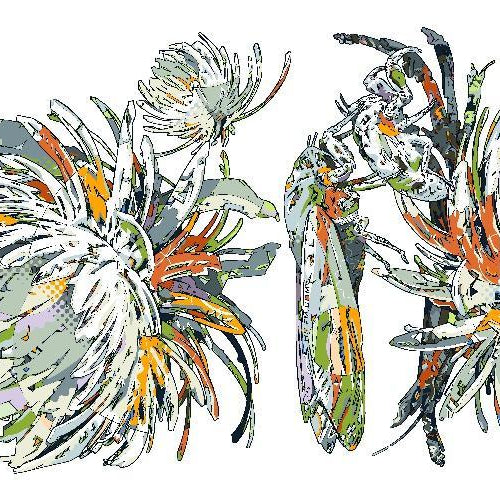 Mid Summer Nights Dream