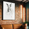 Mr. Rabbit