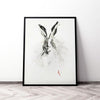 Mr. Rabbit
