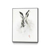 Mr. Rabbit