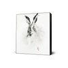 Mr. Rabbit
