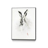 Mr. Rabbit