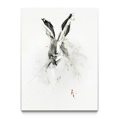 Mr. Rabbit